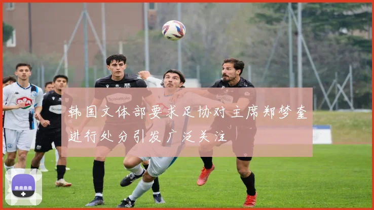 韩国文体部要求足协对主席郑梦奎进行处分引发广泛关注