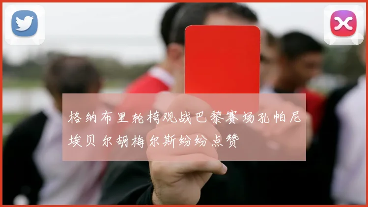 格纳布里轮椅观战巴黎赛场孔帕尼埃贝尔胡梅尔斯纷纷点赞